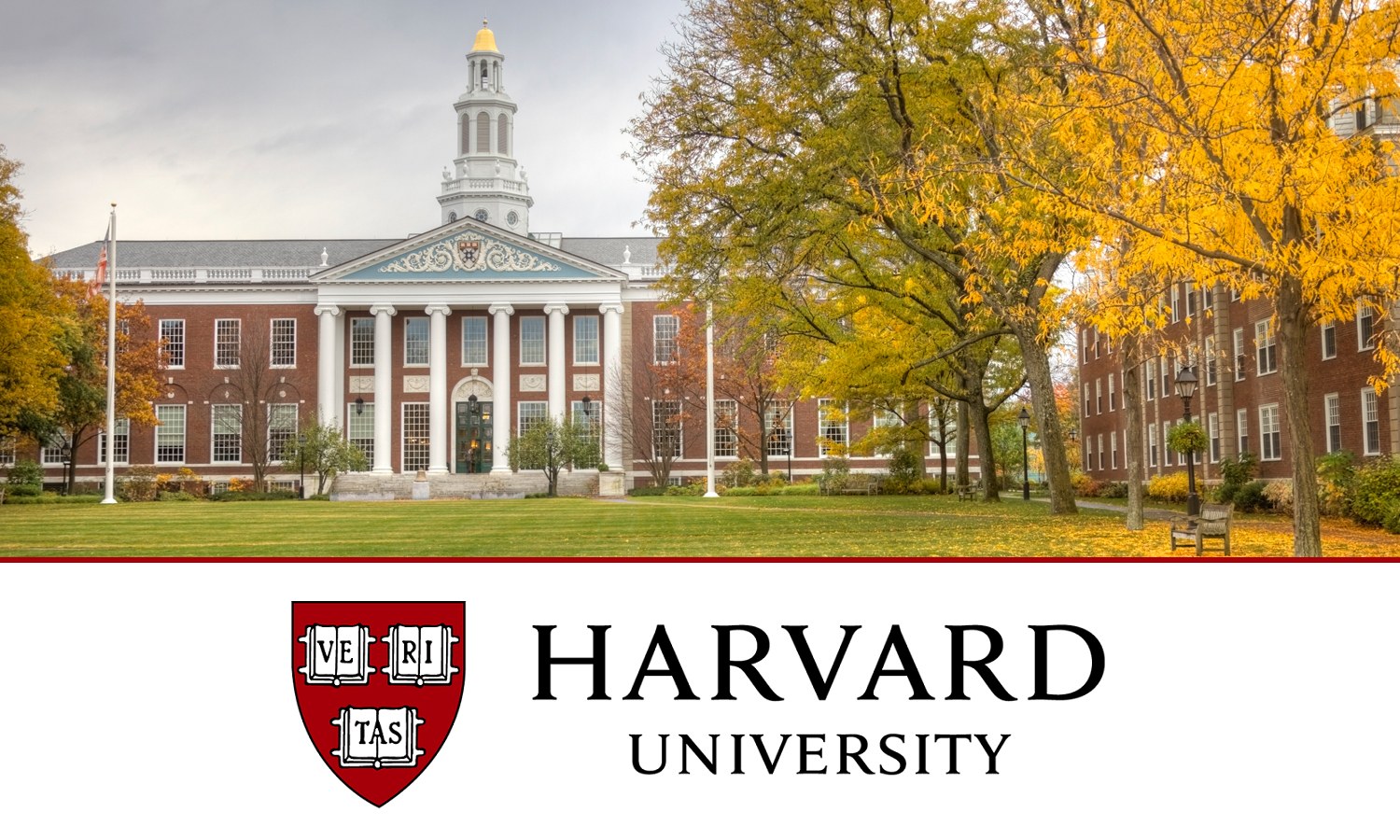 Harvard University Scholarships